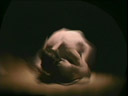 Butoh